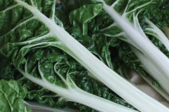 SWISS CHARD SILVERADO QT / 8CT FLAT & 1 GAL